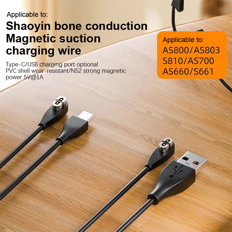 Bone Conduction Headphones Cha - đánh giá và giá Skyrc B6 Neo Smart Charger