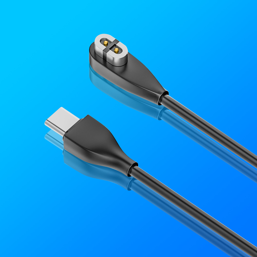Magnetic Charger USB/Type-C Ch - đánh giá và giá Skyrc B6 Neo Smart Charger